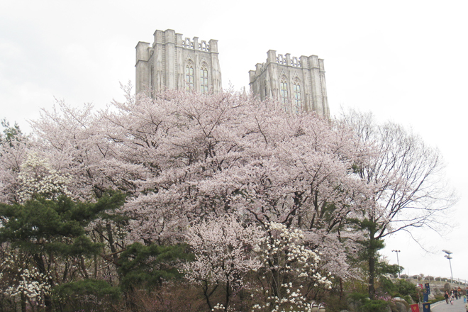 KUYNG HEE UNIVERSITY, SEOUL, KOREA